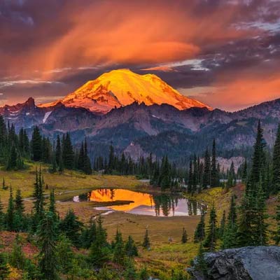 【西雅图】雷尼尔火山国家公园 1日游(团号:SR1)