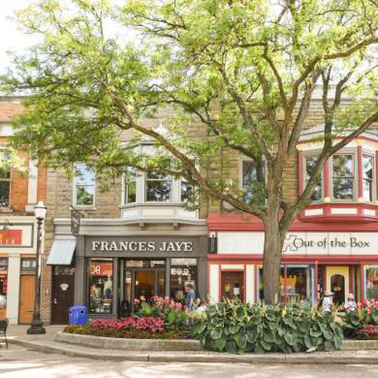 芝加哥往返 | 风车岛赏郁金香一日游(团号:BBY-HOL1-T)