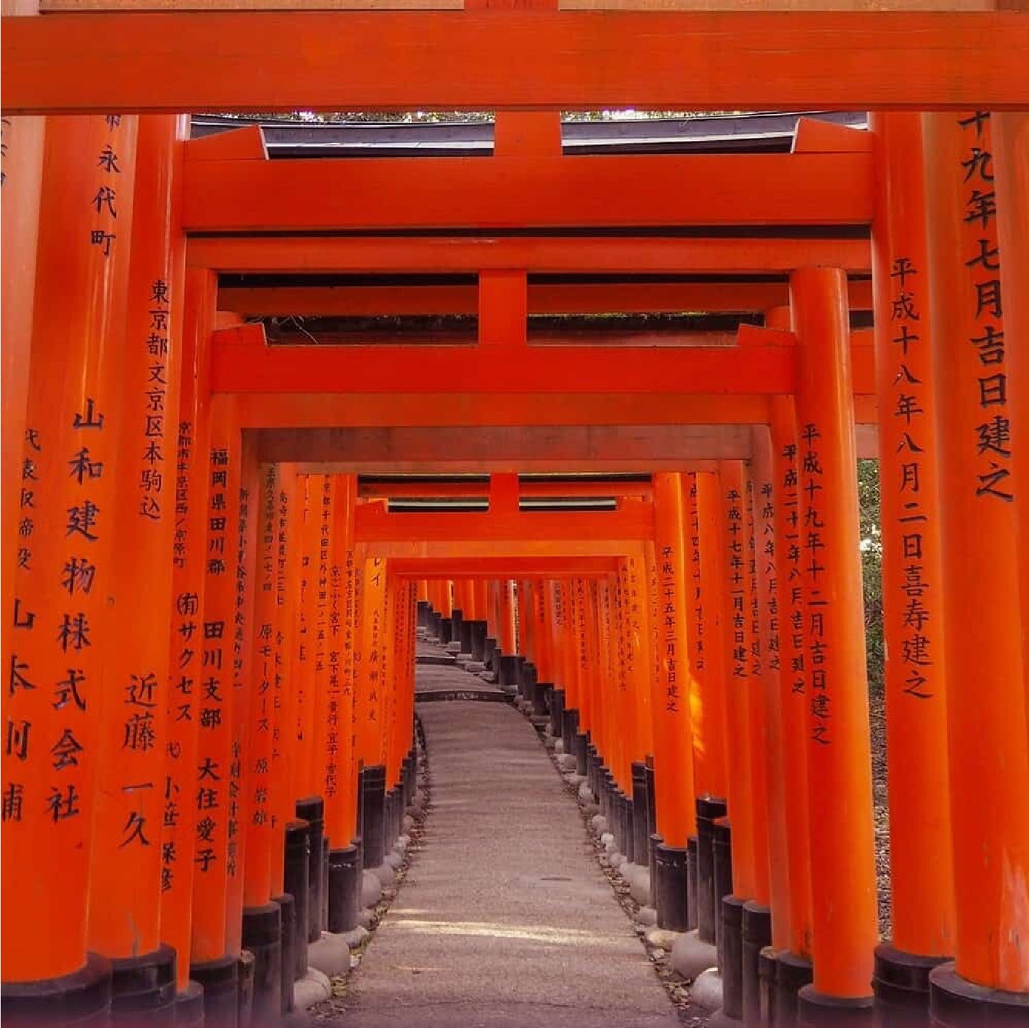 日本古都印象7日游丨东京+镰仓+富士山+京都+奈良+大阪 本州岛 (团号:NRTKIX7)