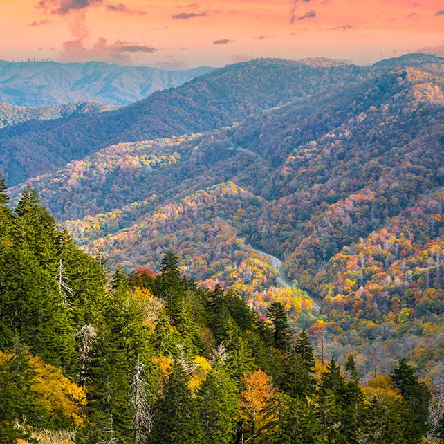 【芝加哥出发】印第安纳波利斯+大雾山国家公园+加特林堡+查塔努加+猛犸洞国家公园 4日游(团号:CT4)