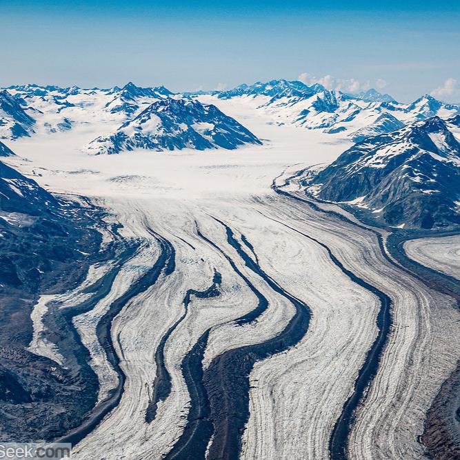 【诺唯真游轮】西雅图-阿拉斯加往返 冰川之旅