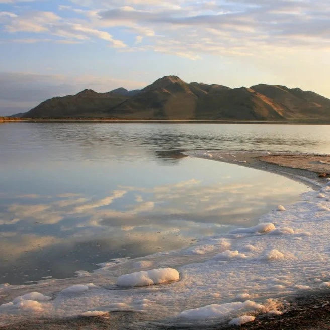 大提顿国家公园+黄石国家公园+盐湖城+拉斯维加斯 5日游(团号:YB5)