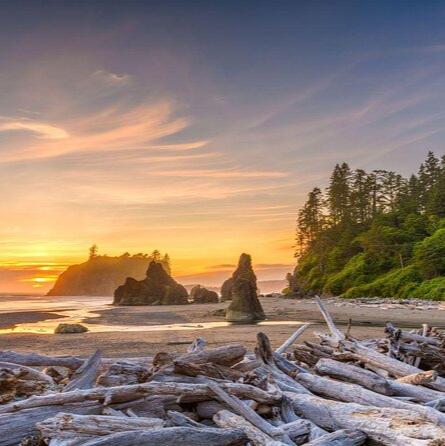 西雅图+奥林匹克国家公园+雷尼尔火山国家公园 3日游(团号:SOR3)