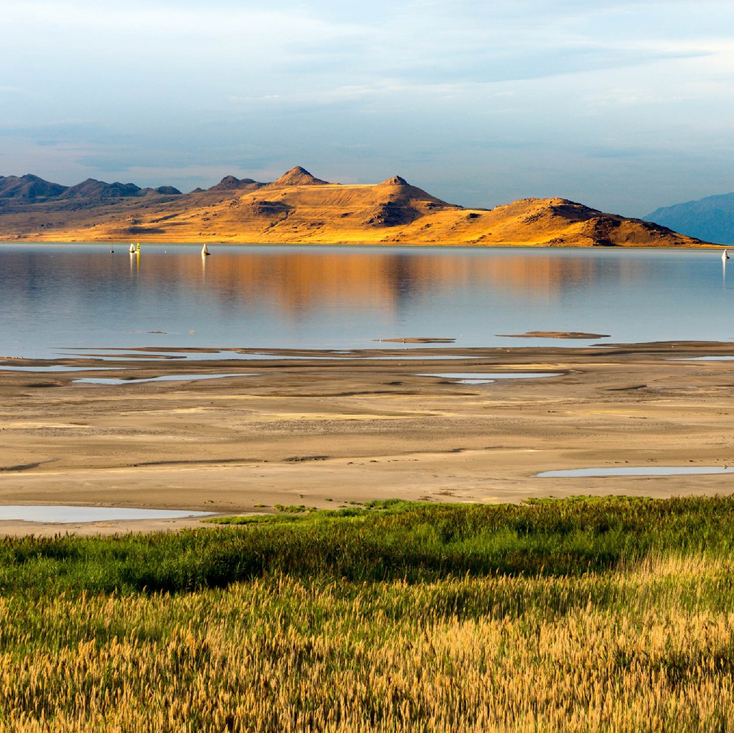 【黄石私家包团】盐湖城进出+大提顿园+黄石 5日游(团号:Y5V)