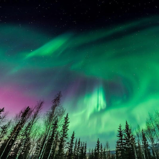 “极光之约”阿拉斯加2025-2026北极光季丨费尔班克斯（Fairbanks）5天4晚(团号：NFF5）